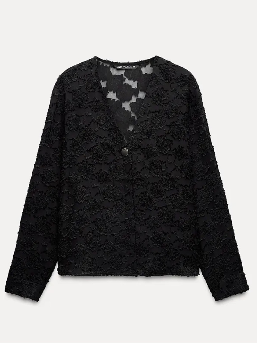 Zara Black Sheer Design V-Neck Blouse